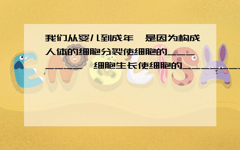 我们从婴儿到成年,是因为构成人体的细胞分裂使细胞的_______,细胞生长使细胞的________