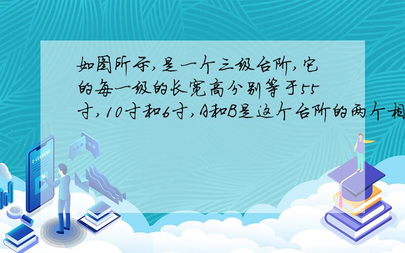 如图所示,是一个三级台阶,它的每一级的长宽高分别等于55寸,10寸和6寸,A和B是这个台阶的两个相对的端点,A点上有一个蚂蚁,想到B点去吃食物,请你想一想,这只蚂蚁从A出发沿着台阶爬到B的最短