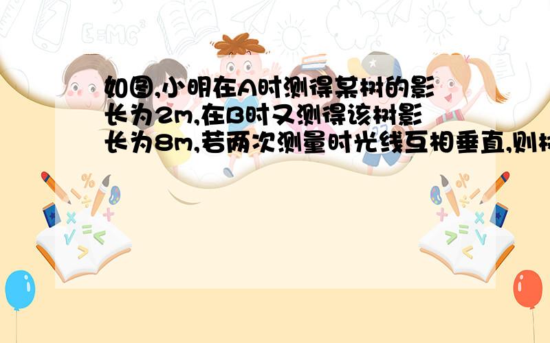 如图,小明在A时测得某树的影长为2m,在B时又测得该树影长为8m,若两次测量时光线互相垂直,则树高为?