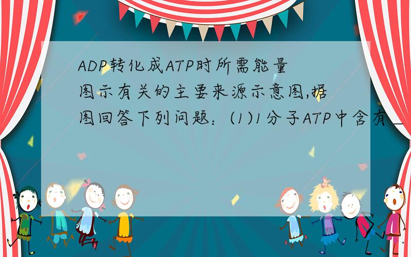 ADP转化成ATP时所需能量图示有关的主要来源示意图,据图回答下列问题：(1)1分子ATP中含有＿＿＿＿＿个高能磷酸键.(2)ATP的中文名是＿＿＿＿＿＿＿＿＿＿,在ATP转化为ADP过程中,是由于＿＿＿