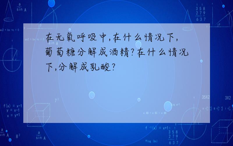 在无氧呼吸中,在什么情况下,葡萄糖分解成酒精?在什么情况下,分解成乳酸?