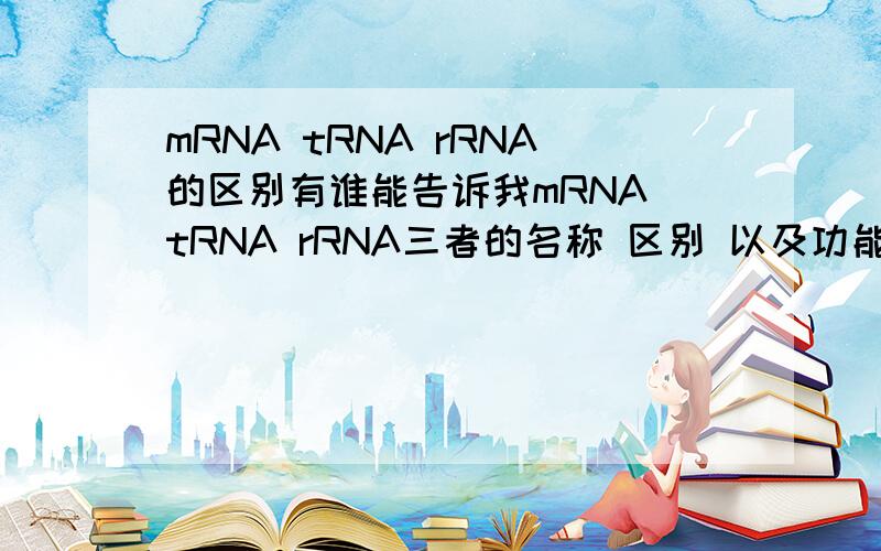 mRNA tRNA rRNA的区别有谁能告诉我mRNA tRNA rRNA三者的名称 区别 以及功能!