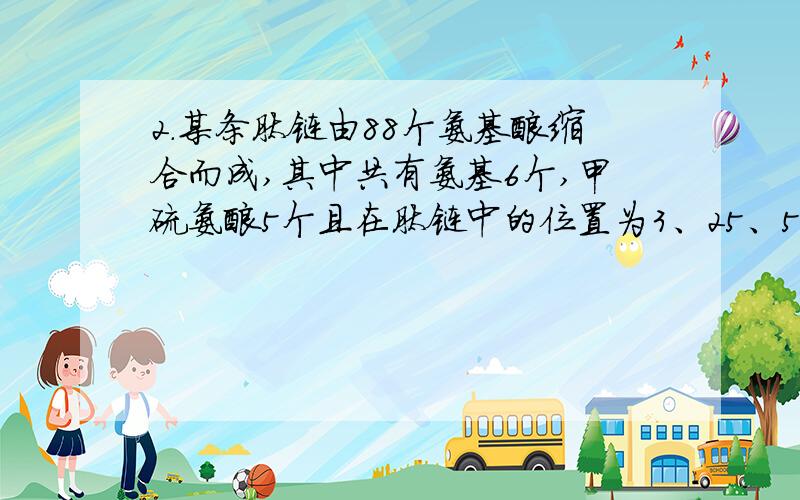 2．某条肽链由88个氨基酸缩合而成,其中共有氨基6个,甲硫氨酸5个且在肽链中的位置为3、25、56、78、88,甲硫氨酸的分子式为C5HllO2NS,以下叙述正确的是 （ ） A．合成该多肽的氨基酸共有N原子