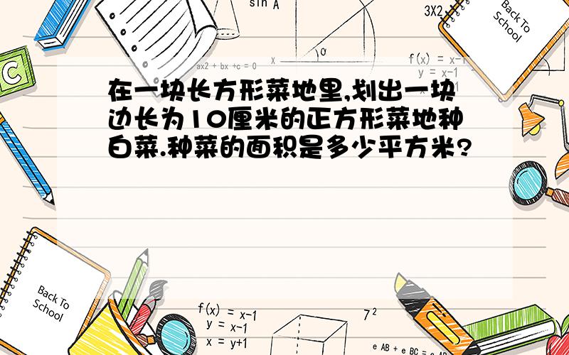 在一块长方形菜地里,划出一块边长为10厘米的正方形菜地种白菜.种菜的面积是多少平方米?