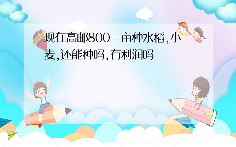 现在高邮800一亩种水稻,小麦,还能种吗,有利润吗