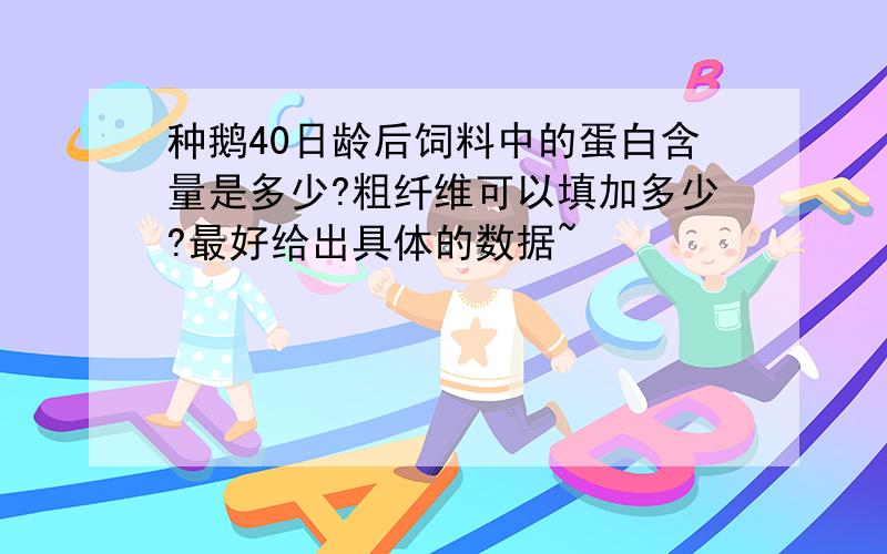 种鹅40日龄后饲料中的蛋白含量是多少?粗纤维可以填加多少?最好给出具体的数据~