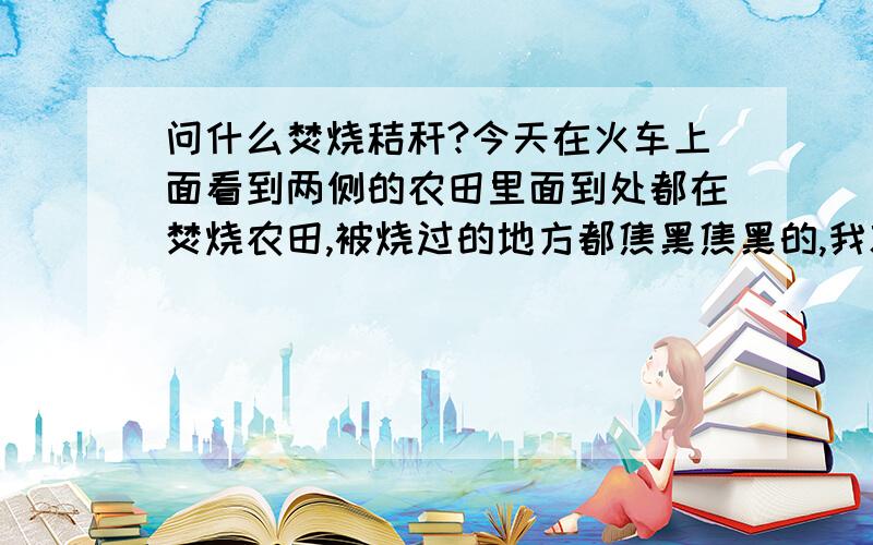 问什么焚烧秸秆?今天在火车上面看到两侧的农田里面到处都在焚烧农田,被烧过的地方都焦黑焦黑的,我就是想问一下,为什么要烧农田?那么烧秸秆又是为什么呢?