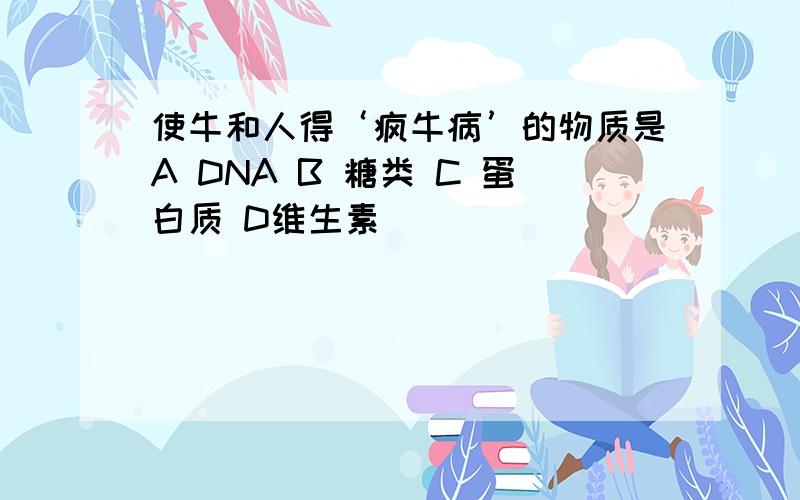 使牛和人得‘疯牛病’的物质是A DNA B 糖类 C 蛋白质 D维生素