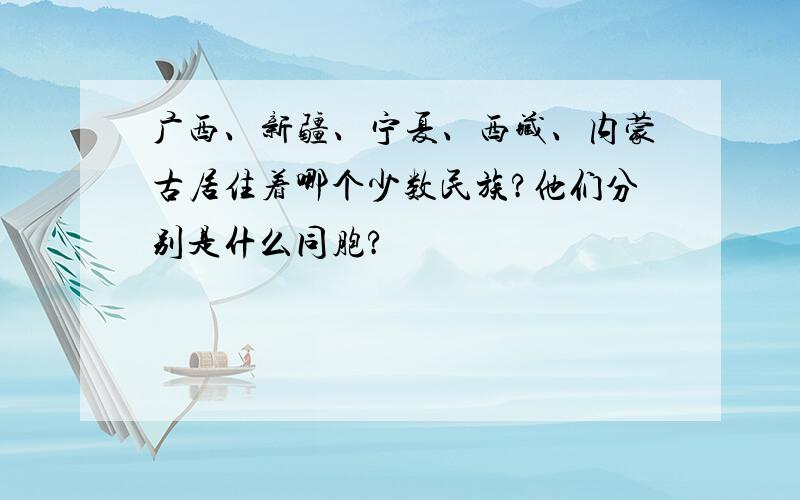 广西、新疆、宁夏、西藏、内蒙古居住着哪个少数民族?他们分别是什么同胞?