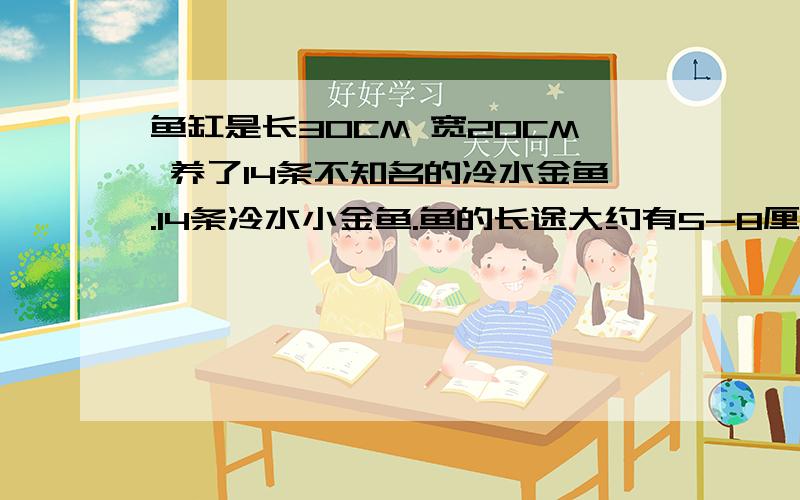 鱼缸是长30CM 宽20CM 养了14条不知名的冷水金鱼.14条冷水小金鱼.鱼的长途大约有5-8厘米左右,还有小点的.鱼缸底层有沙.三合一那种过滤加氧器.有灯照、想问下,过滤加氧器是不是必须24小时开