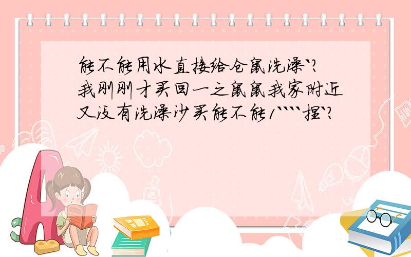 能不能用水直接给仓鼠洗澡`?我刚刚才买回一之鼠鼠我家附近又没有洗澡沙买能不能1````捏`?