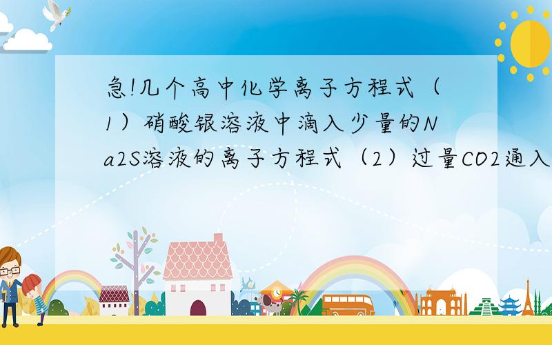 急!几个高中化学离子方程式（1）硝酸银溶液中滴入少量的Na2S溶液的离子方程式（2）过量CO2通入Ca（ClO)溶液中