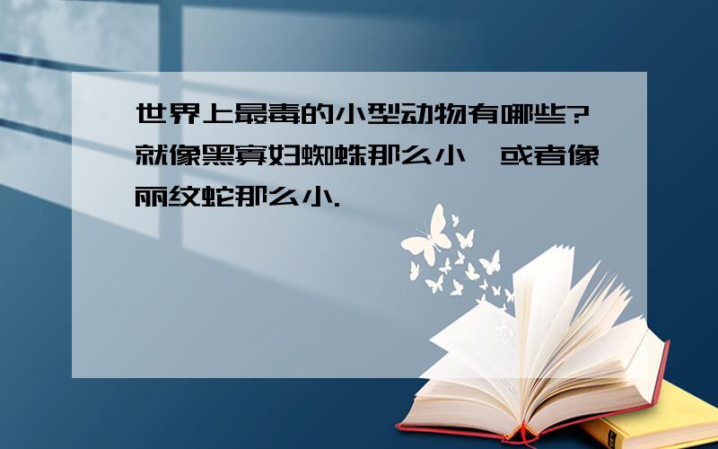 世界上最毒的小型动物有哪些?就像黑寡妇蜘蛛那么小,或者像丽纹蛇那么小.