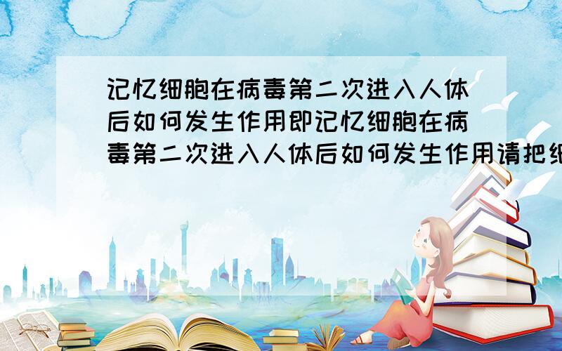 记忆细胞在病毒第二次进入人体后如何发生作用即记忆细胞在病毒第二次进入人体后如何发生作用请把细胞免疫与体液免疫分开,分别回答,