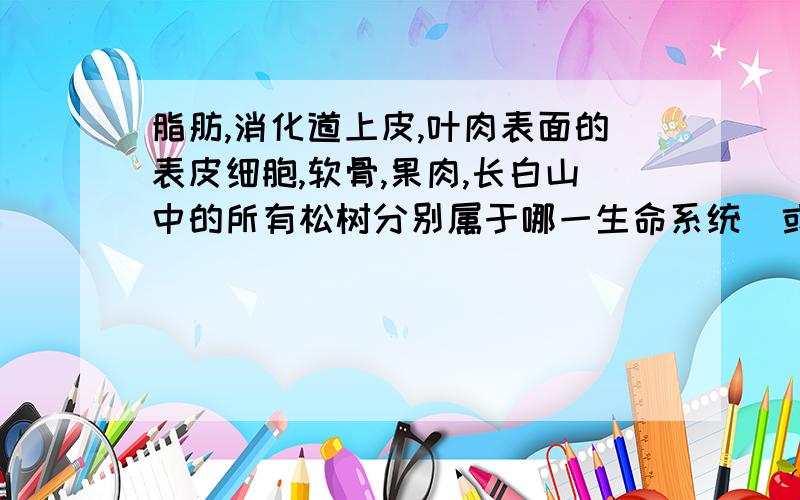 脂肪,消化道上皮,叶肉表面的表皮细胞,软骨,果肉,长白山中的所有松树分别属于哪一生命系统（或不属于生命系统）还有 大脑，小麦的根，唾液腺，松子，骨骼肌，属于什么？