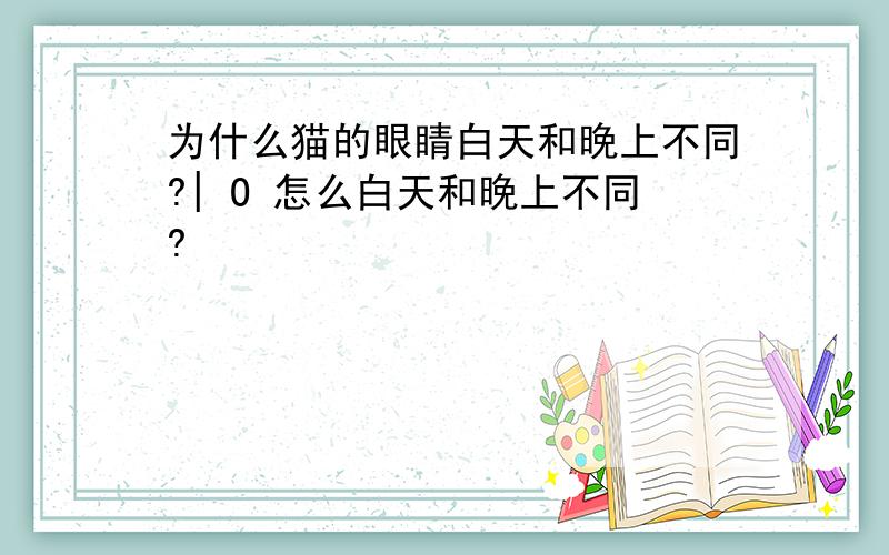 为什么猫的眼睛白天和晚上不同?| O 怎么白天和晚上不同?