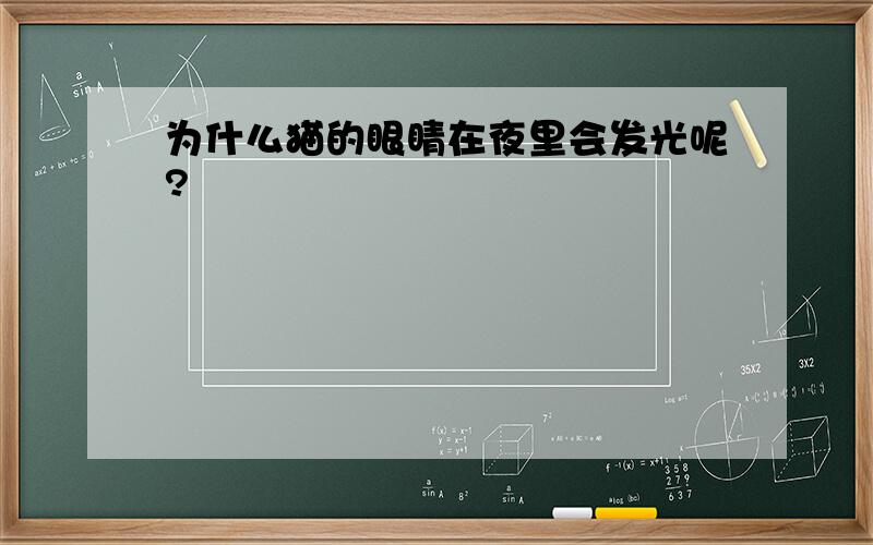 为什么猫的眼睛在夜里会发光呢?