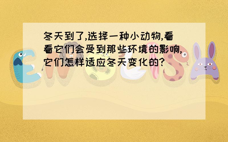 冬天到了,选择一种小动物,看看它们会受到那些环境的影响,它们怎样适应冬天变化的?