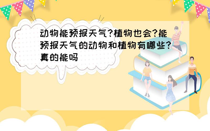 动物能预报天气?植物也会?能预报天气的动物和植物有哪些?真的能吗