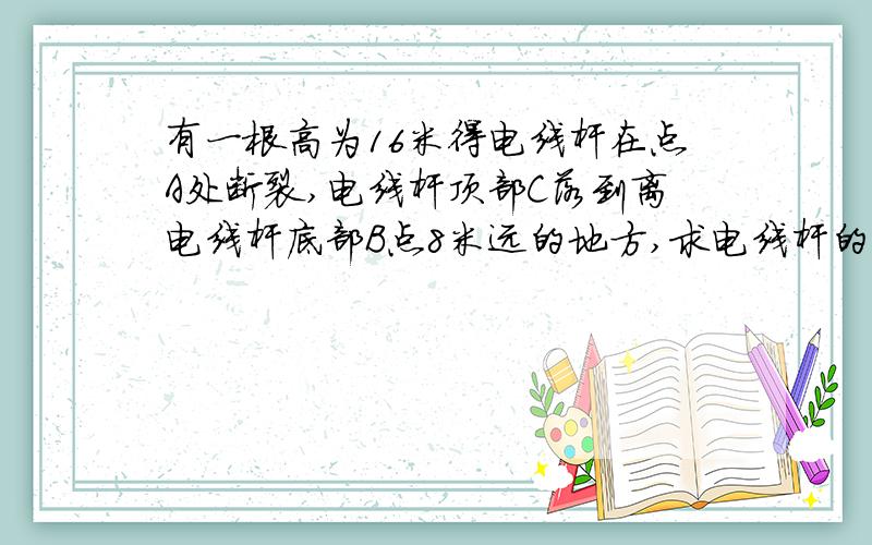 有一根高为16米得电线杆在点A处断裂,电线杆顶部C落到离电线杆底部B点8米远的地方,求电线杆的断裂处A离地面的距离