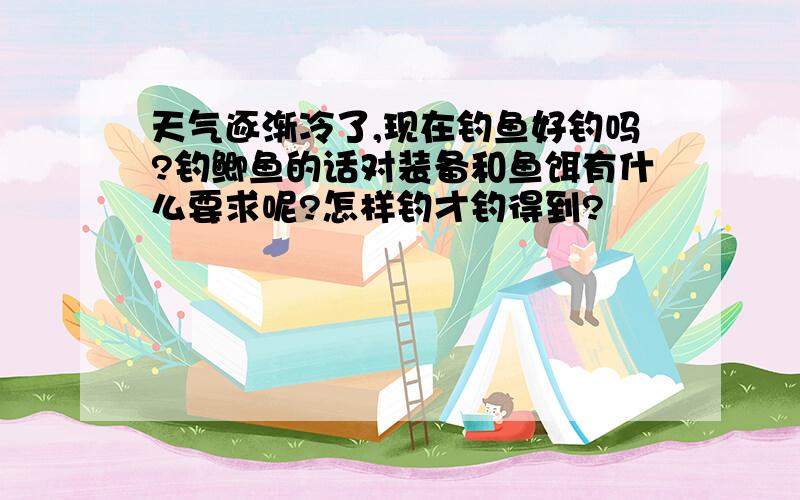 天气逐渐冷了,现在钓鱼好钓吗?钓鲫鱼的话对装备和鱼饵有什么要求呢?怎样钓才钓得到?