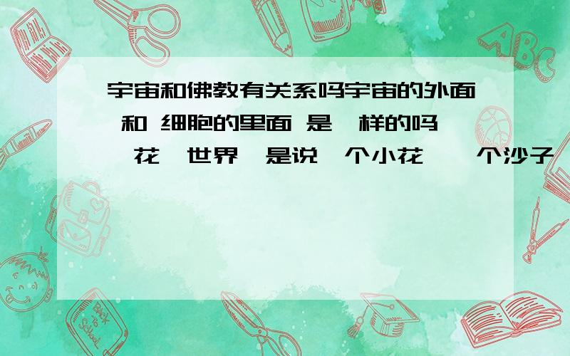 宇宙和佛教有关系吗宇宙的外面 和 细胞的里面 是一样的吗一花一世界,是说一个小花,一个沙子,里面都是一个宇宙够牛 B啊,佛教几千年前就有宇宙嵌套理论了