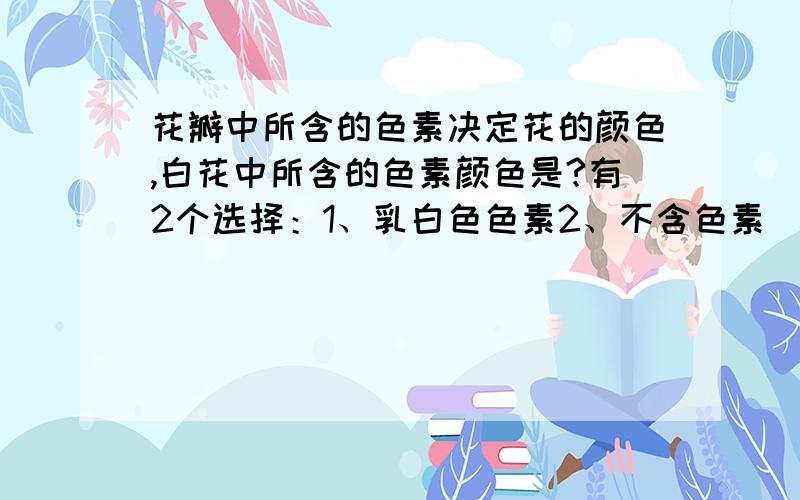 花瓣中所含的色素决定花的颜色,白花中所含的色素颜色是?有2个选择：1、乳白色色素2、不含色素