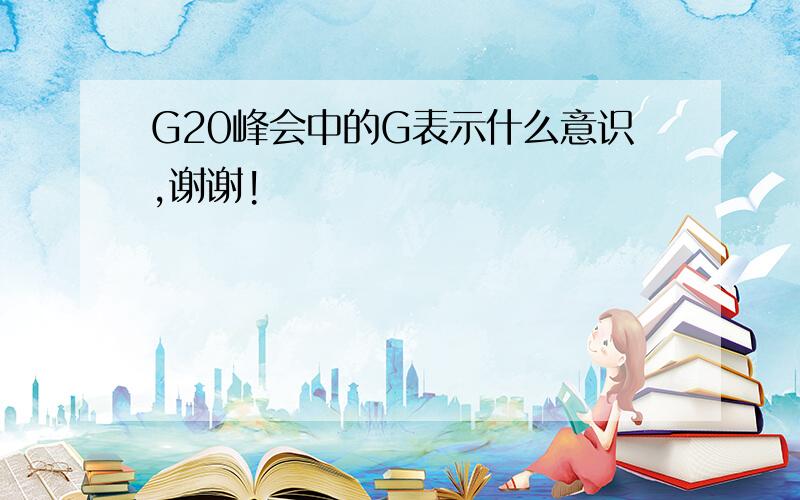 G20峰会中的G表示什么意识,谢谢!