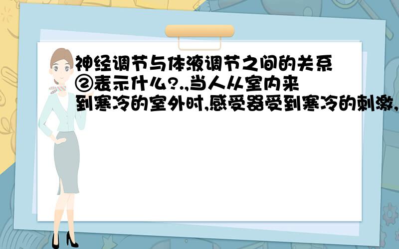 神经调节与体液调节之间的关系②表示什么?.,当人从室内来到寒冷的室外时,感受器受到寒冷的刺激,图中直接的效应器是___.图中③表示垂体受到___的控制,合成并分泌某些激素.在多种因素的