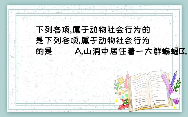 下列各项,属于动物社会行为的是下列各项,属于动物社会行为的是（ ）A.山洞中居住着一大群蝙蝠B.母鸡带领一群小鸡在觅食C.草原上生活着大批食草动物D.蜂群中的蜂王由工蜂喂养