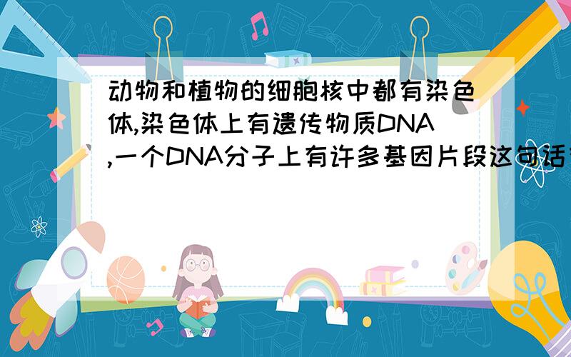 动物和植物的细胞核中都有染色体,染色体上有遗传物质DNA,一个DNA分子上有许多基因片段这句话有错吗.请说的详细一点.