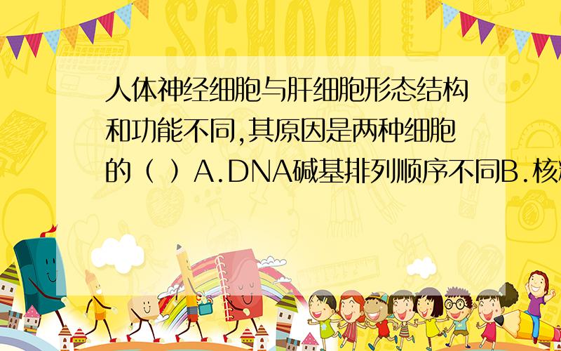 人体神经细胞与肝细胞形态结构和功能不同,其原因是两种细胞的（ ）A.DNA碱基排列顺序不同B.核糖体不同 C．tRNA不同 D．mRNA不同