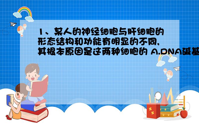 1、某人的神经细胞与肝细胞的形态结构和功能有明显的不同,其根本原因是这两种细胞的 A.DNA碱基排列顺序不同 B.核糖体不同 C.转运RNA不同 D.信使RNA不同 2.牛和羊吃同样的草料,但产生不同的