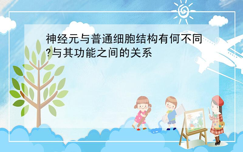 神经元与普通细胞结构有何不同?与其功能之间的关系