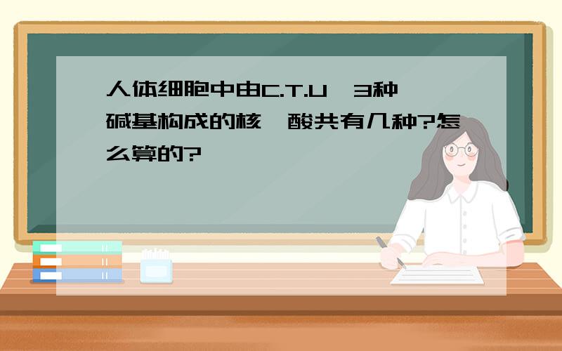 人体细胞中由C.T.U,3种碱基构成的核苷酸共有几种?怎么算的?