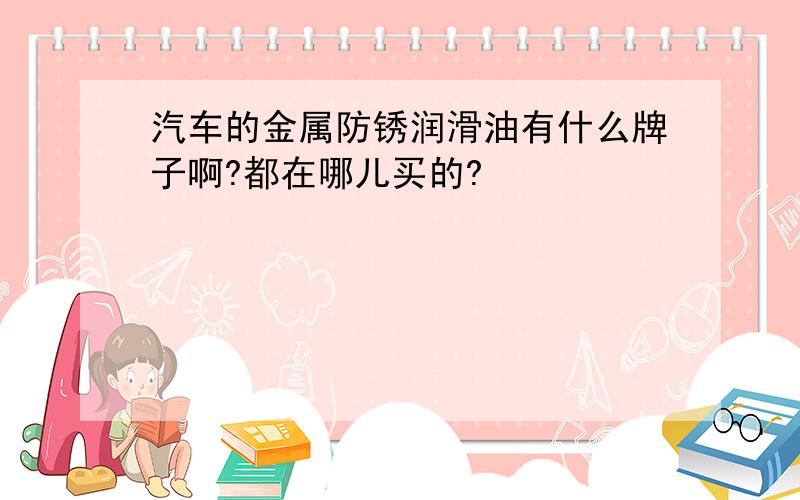 汽车的金属防锈润滑油有什么牌子啊?都在哪儿买的?