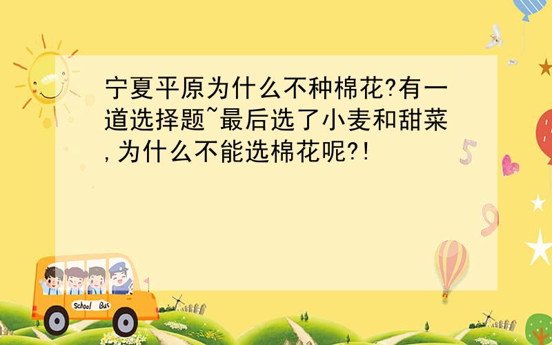 宁夏平原为什么不种棉花?有一道选择题~最后选了小麦和甜菜,为什么不能选棉花呢?!