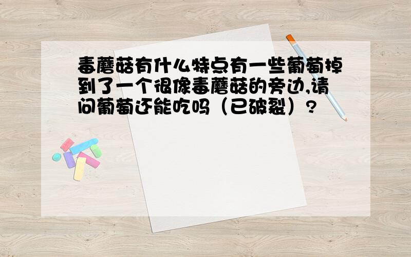 毒蘑菇有什么特点有一些葡萄掉到了一个很像毒蘑菇的旁边,请问葡萄还能吃吗（已破裂）?