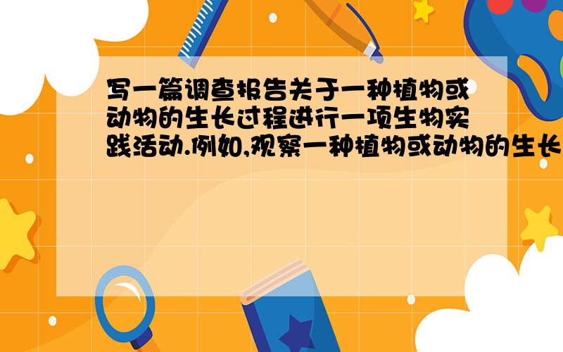 写一篇调查报告关于一种植物或动物的生长过程进行一项生物实践活动.例如,观察一种植物或动物的生长过程,或者对滨州植物、动物种类进行调查,或者在出游时对当地的动植物进行观察.写