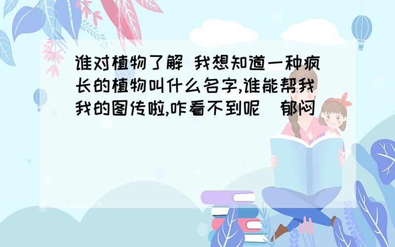 谁对植物了解 我想知道一种疯长的植物叫什么名字,谁能帮我我的图传啦,咋看不到呢  郁闷