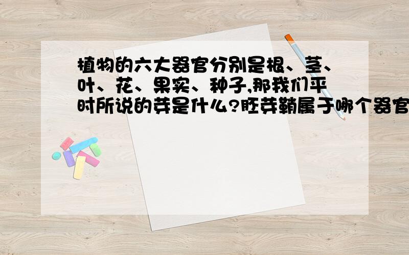 植物的六大器官分别是根、茎、叶、花、果实、种子,那我们平时所说的芽是什么?胚芽鞘属于哪个器官里面的