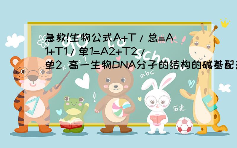 急救!生物公式A+T/总=A1+T1/单1=A2+T2/单2 高一生物DNA分子的结构的碱基配对公式