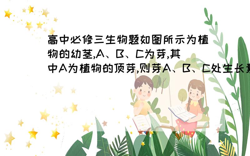 高中必修三生物题如图所示为植物的幼茎,A、B、C为芽,其中A为植物的顶芽,则芽A、B、C处生长素浓度的关系是（             ）.注：请说明原因,谢谢