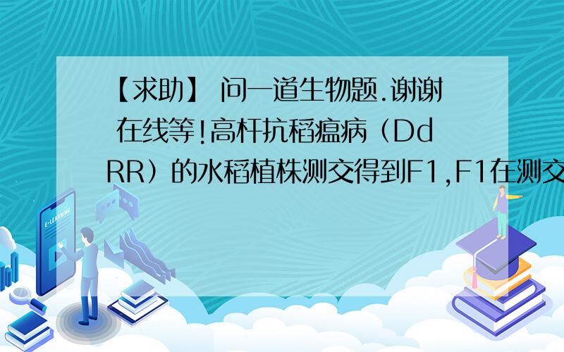 【求助】 问一道生物题.谢谢 在线等!高杆抗稻瘟病（DdRR）的水稻植株测交得到F1,F1在测交得到F2,则F2中表现型及比例为                      A：高杆抗病：高感染病：矮杆抗病：矮杆染病=1：1：2