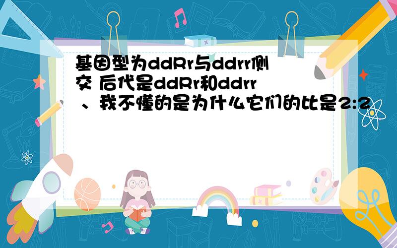 基因型为ddRr与ddrr侧交 后代是ddRr和ddrr 、我不懂的是为什么它们的比是2:2