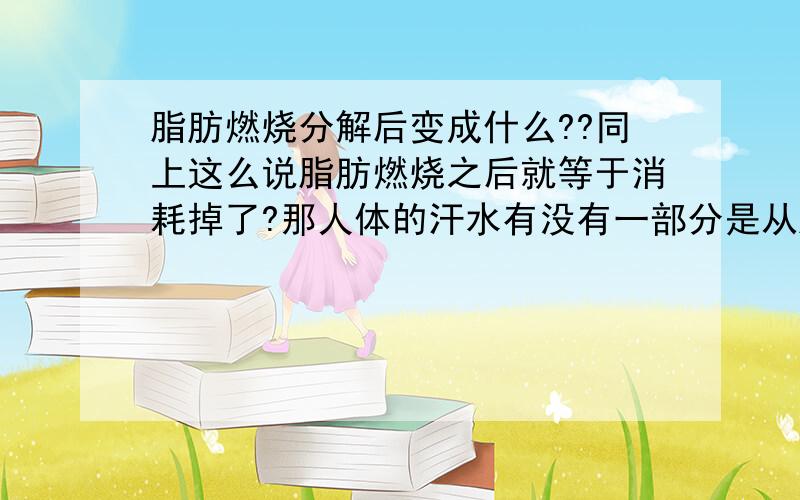 脂肪燃烧分解后变成什么??同上这么说脂肪燃烧之后就等于消耗掉了?那人体的汗水有没有一部分是从脂肪里分解出来的?