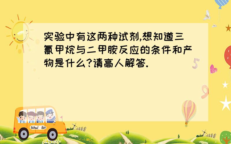 实验中有这两种试剂,想知道三氯甲烷与二甲胺反应的条件和产物是什么?请高人解答.