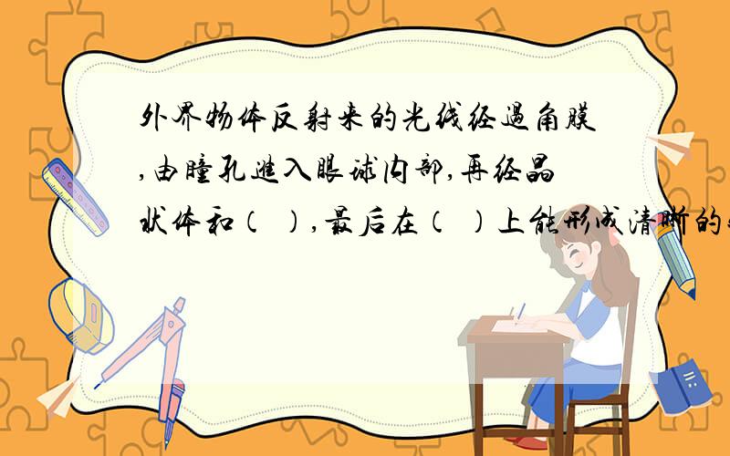 外界物体反射来的光线经过角膜,由瞳孔进入眼球内部,再经晶状体和（ ）,最后在（ ）上能形成清晰的物象