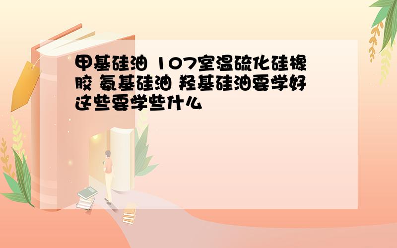 甲基硅油 107室温硫化硅橡胶 氨基硅油 羟基硅油要学好这些要学些什么