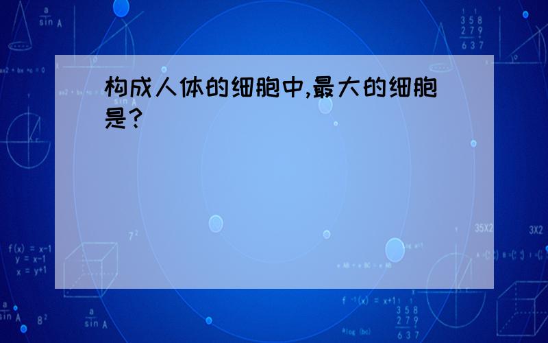 构成人体的细胞中,最大的细胞是?